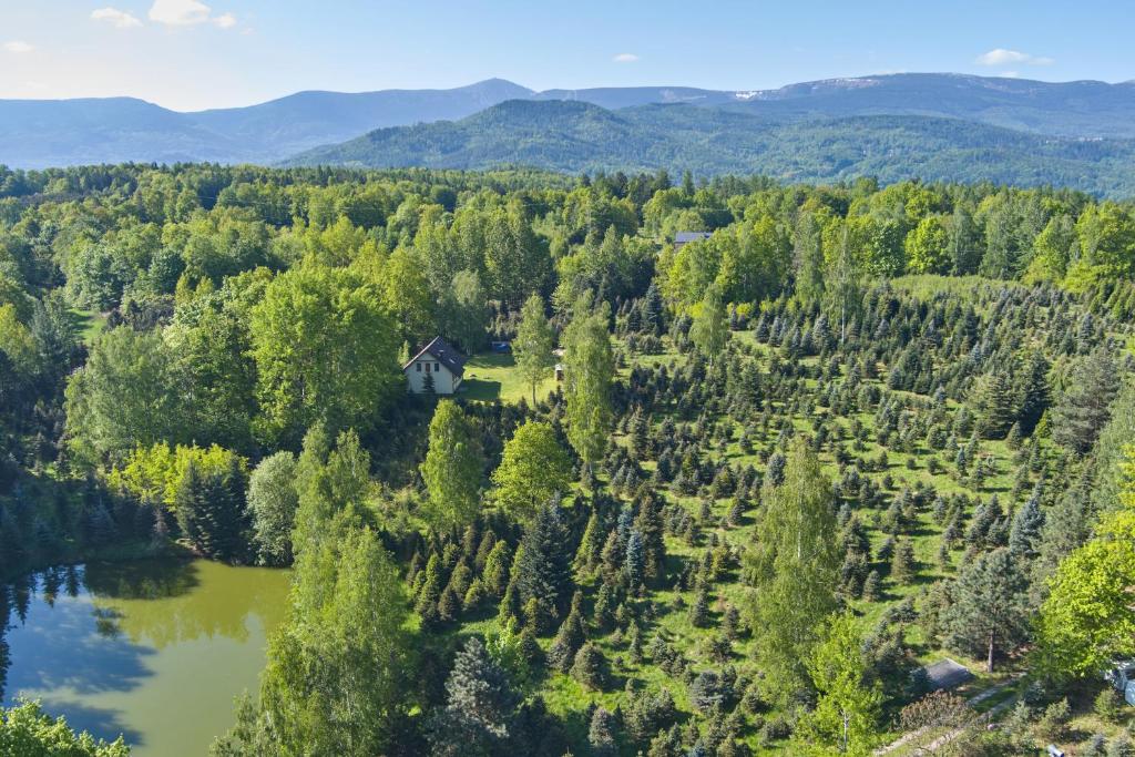 Image 1 of Agroturystyka – Srebrny Las