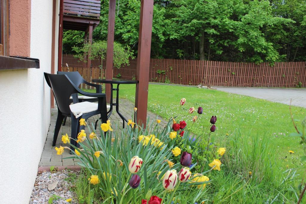 Image 1 of Apartament Kolorowy pod Śnieżką
