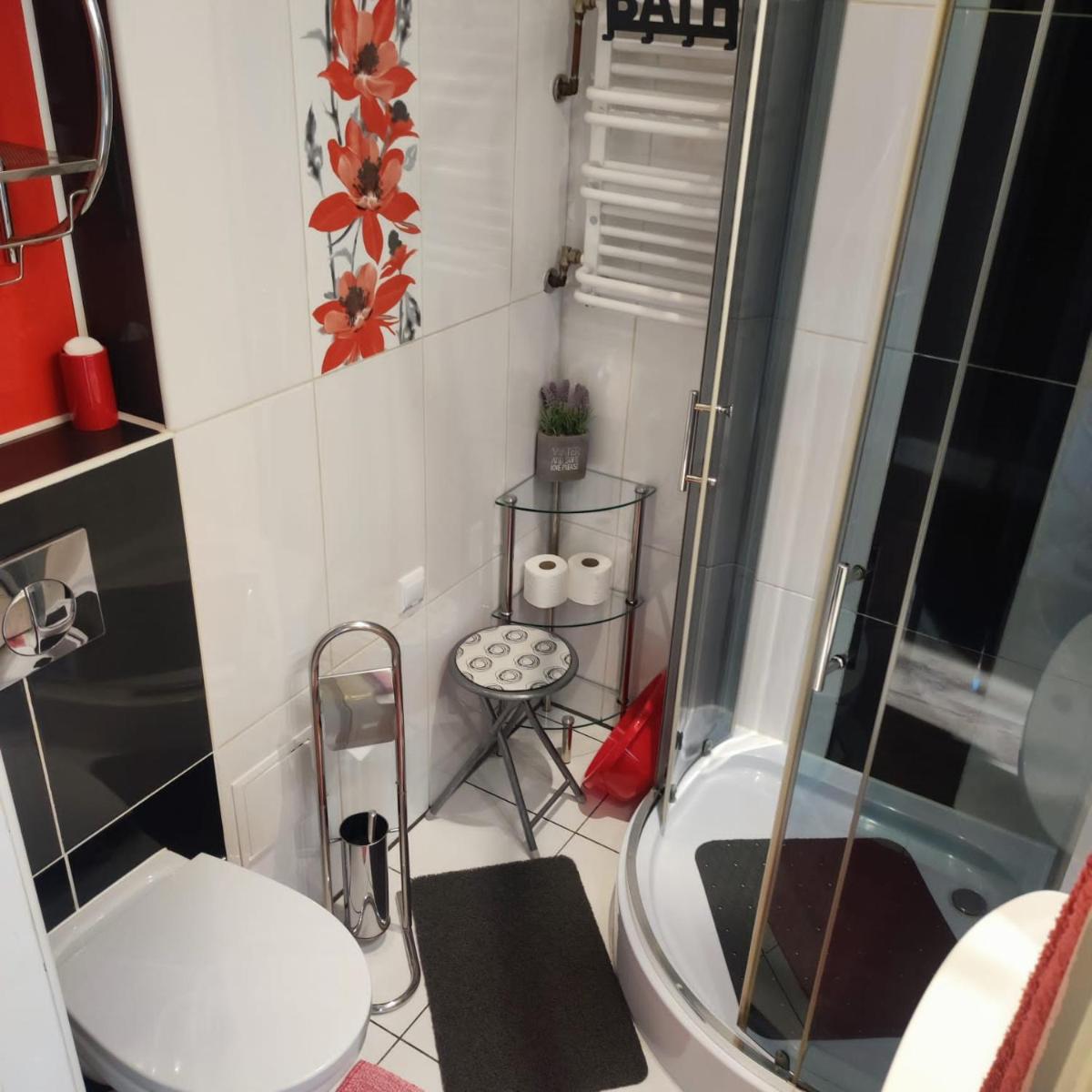 Image 5 of Apartament Pasja