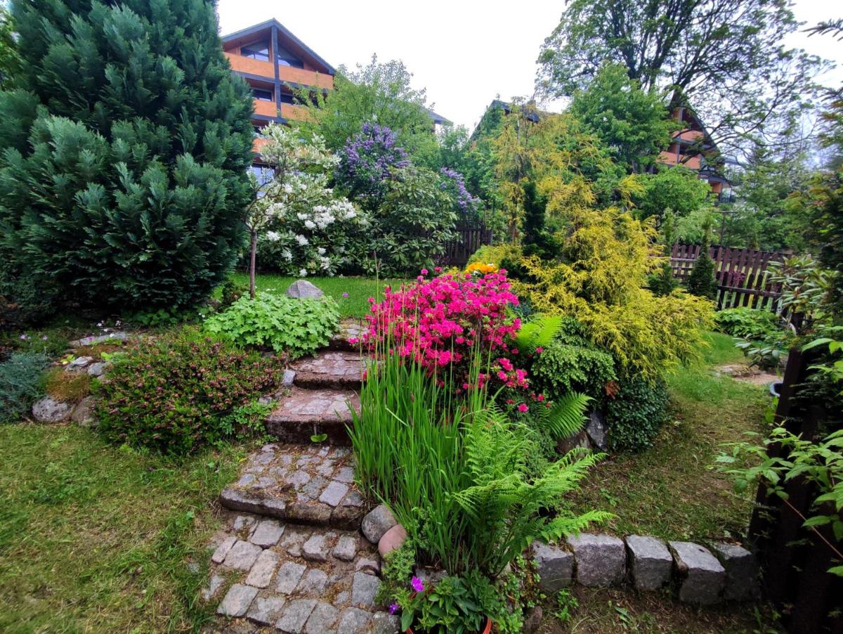 Image 2 of Apartament Pasja