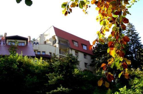 Image 5 of Hotel Carmen