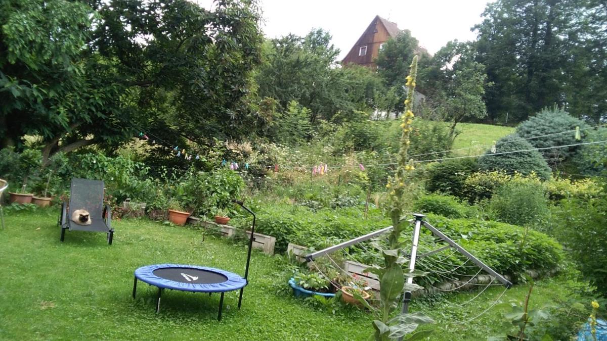 Image 6 of Komfortowe noclegi w Villi blisko natury