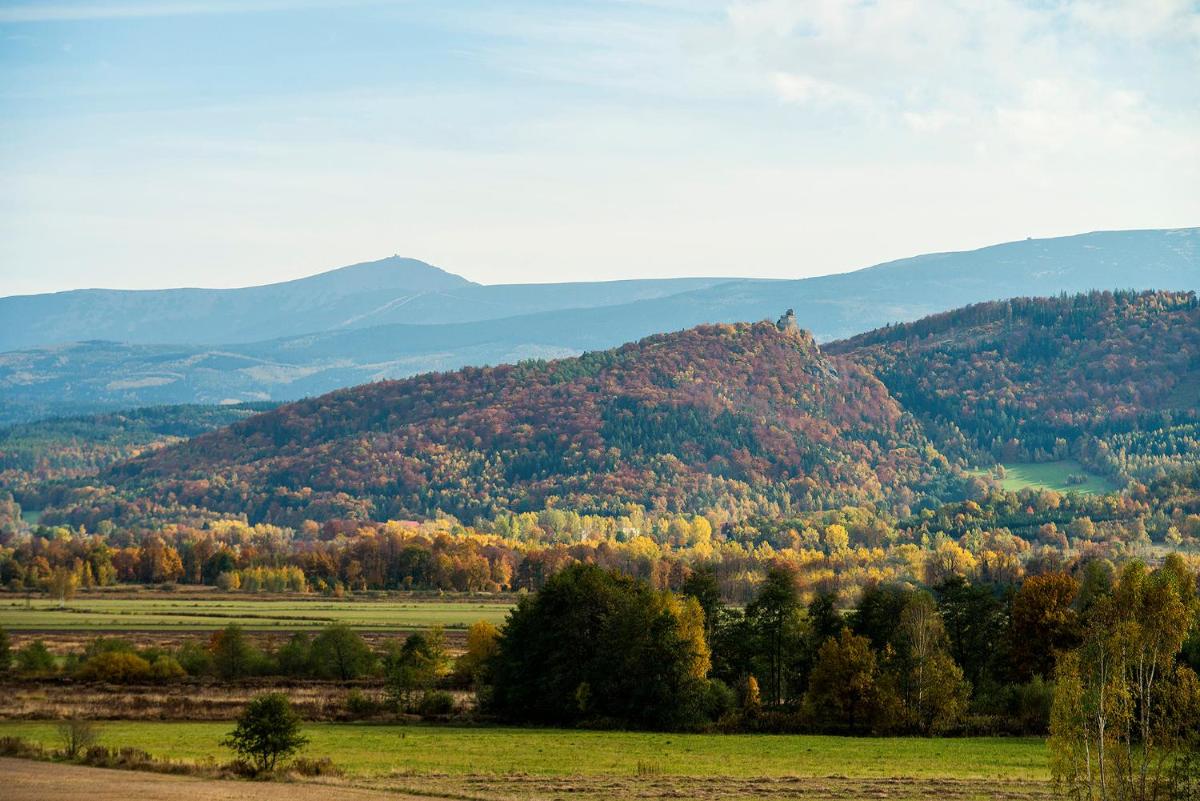 Image 7 of Orzechowy