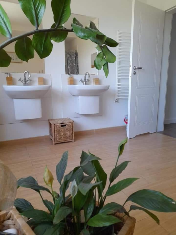 Image 6 of Pokoje Gościnne u Marka