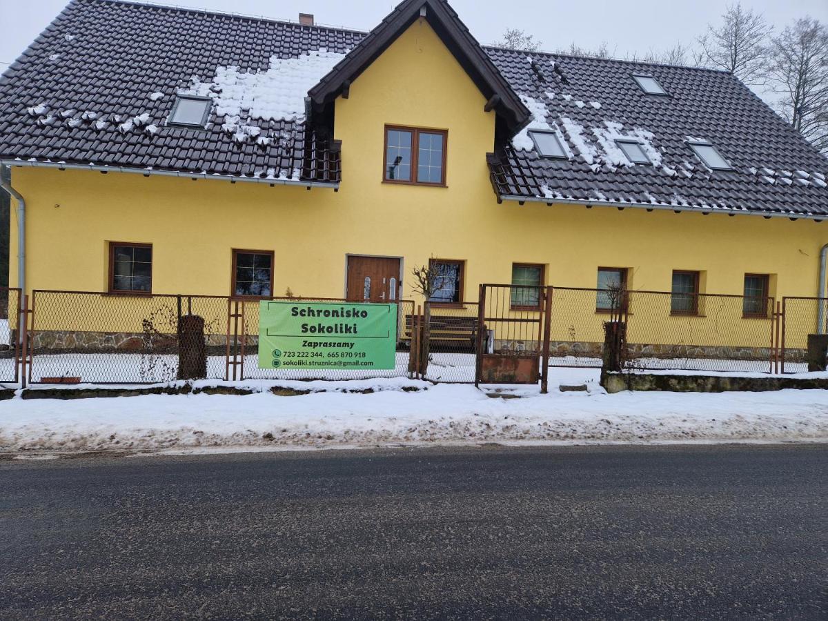 Image 6 of Schronisko Sokoliki