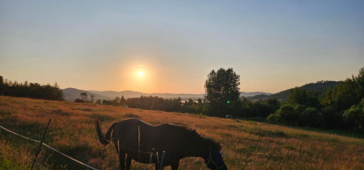 Image 3 of Sosnowa Chatka – Sosnówka Karpacz