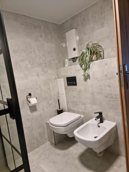 Image 4 of Villa Fantastica Apartments