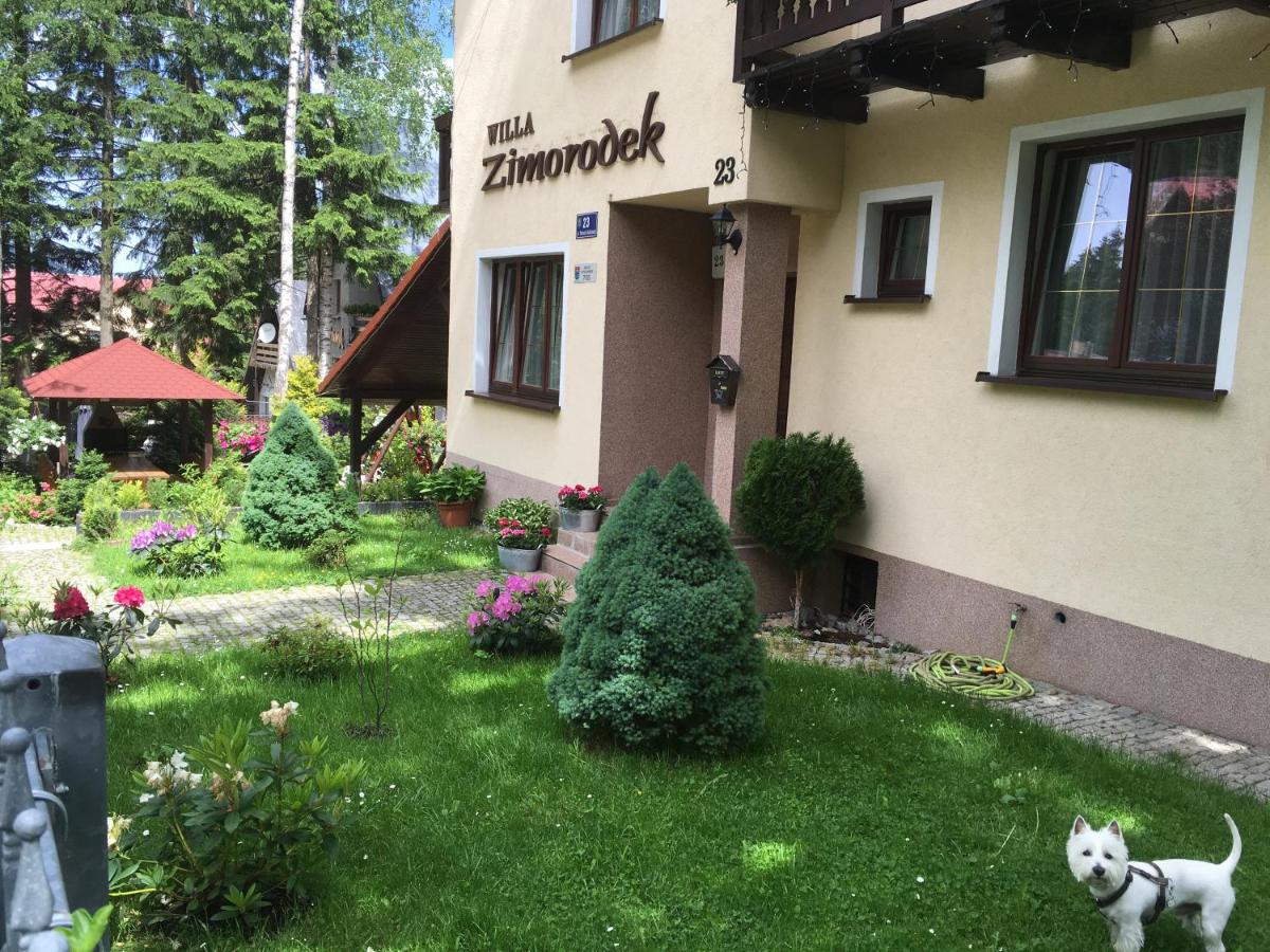 Image 2 of Zimorodek poczuj z nami magię Karpacza