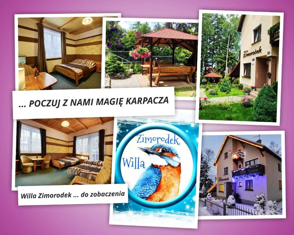 Image 1 of Zimorodek poczuj z nami magię Karpacza