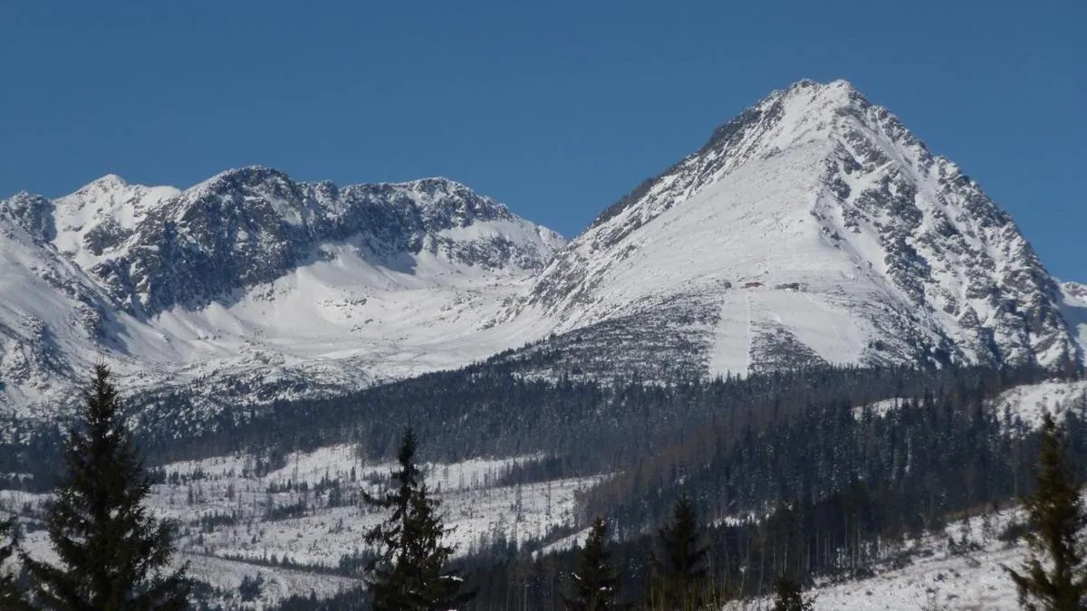 Image 3 of Apartman Glacier