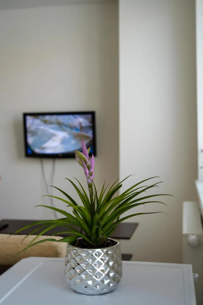 Image 6 of Apartmán Kapitána Nálepku Anna