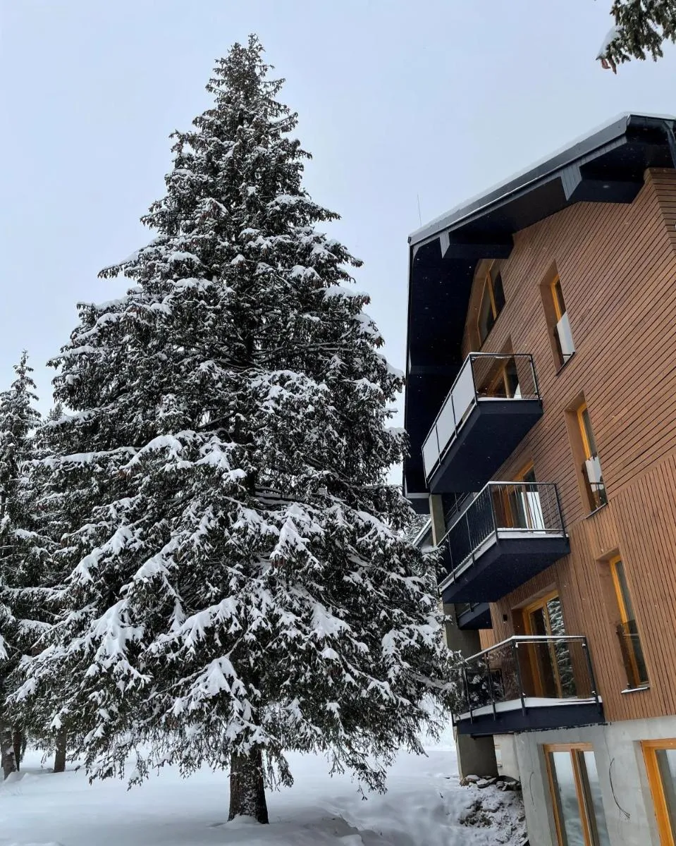 Image 4 of Apartmán Snow