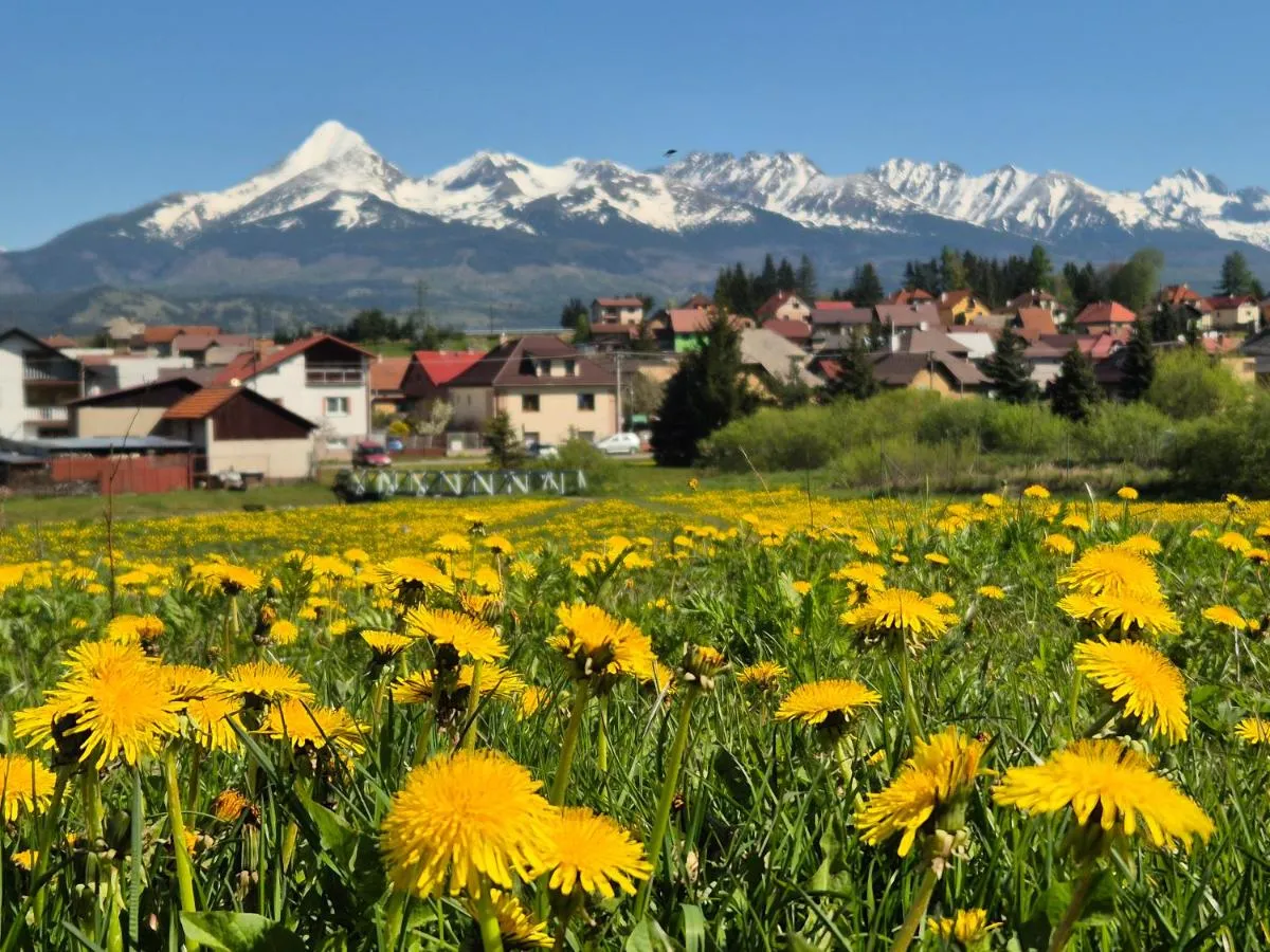 Image 3 of Apartmány Anička vo Važci