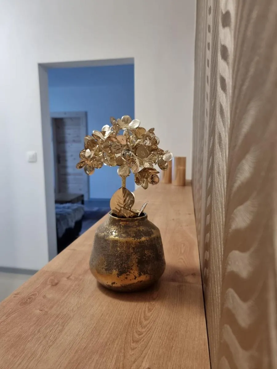 Image 6 of BIVIO apartment Dolná