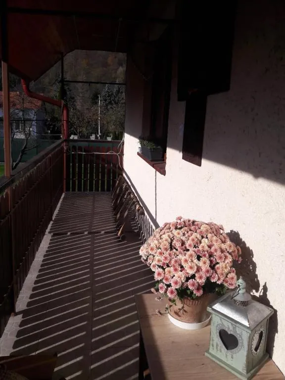 Image 1 of Bela apartment