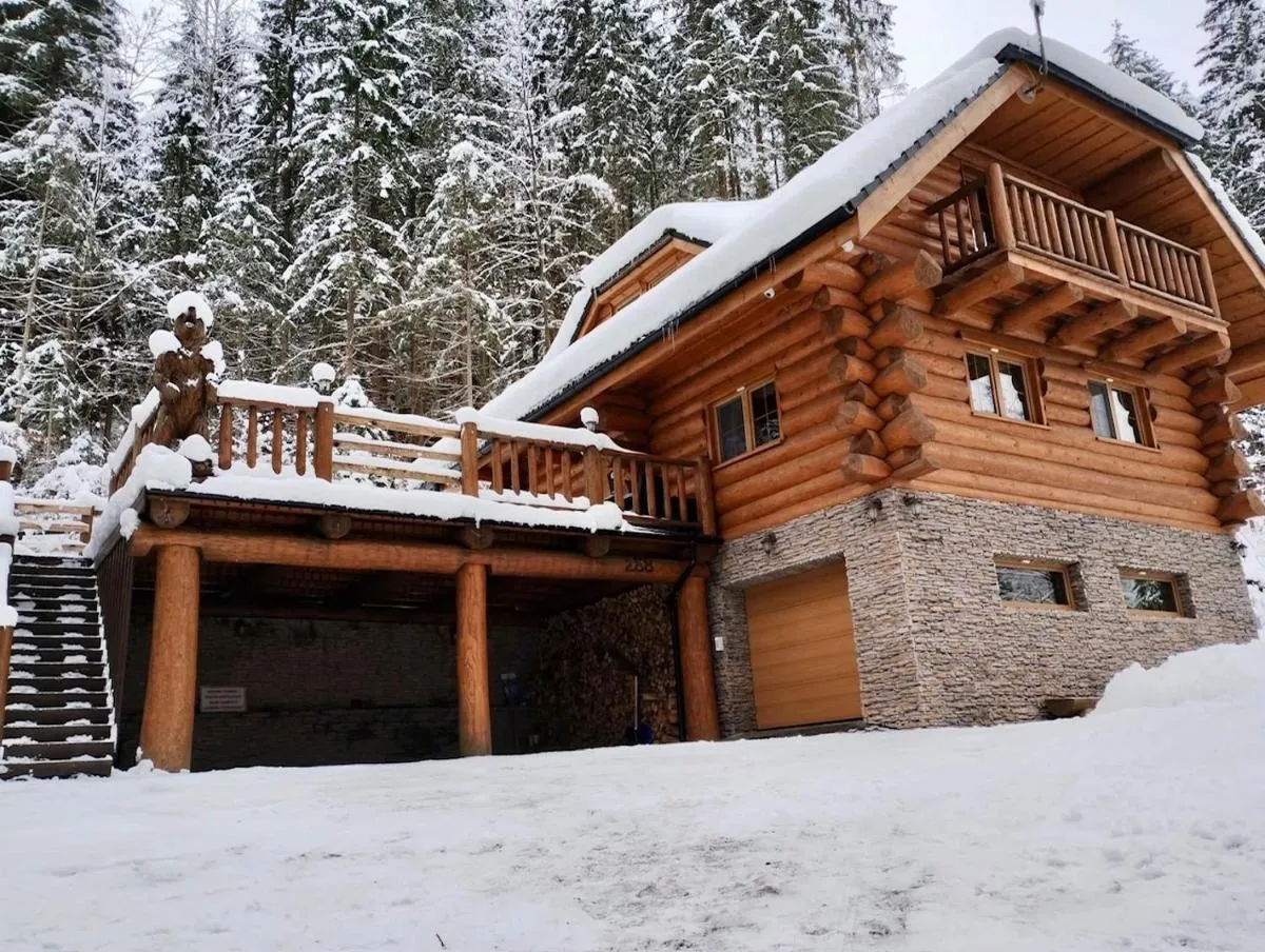 Image 2 of Chalet Durik Bystra-Jacuzzi-Sauna-Ski Chopok Jasna, Ski Myto, Ski Tale, In the forest
