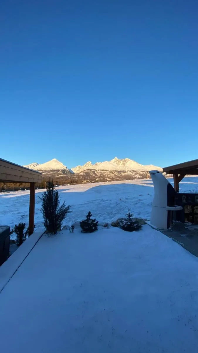 Image 6 of Chalet Sijkovsky