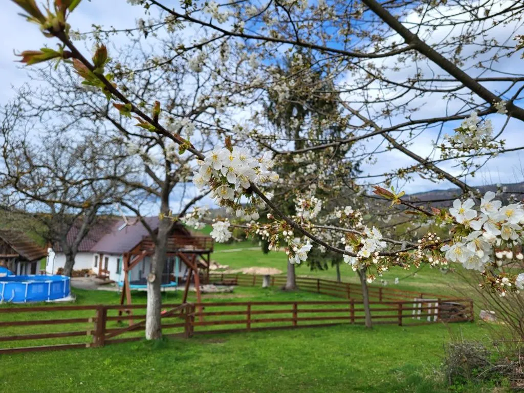 Image 1 of Chalupa Romantik na Hrinovskych lazoch