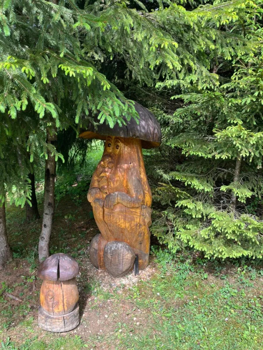 Image 4 of Chata u Jána