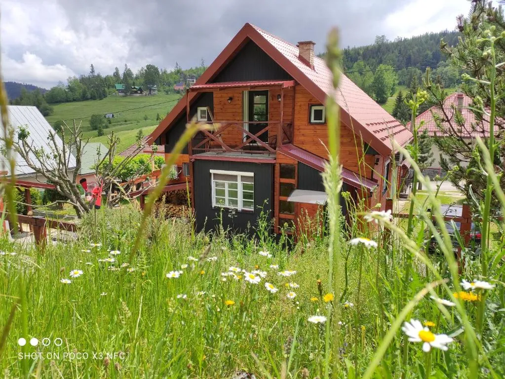 Image 1 of Cottage Scandi