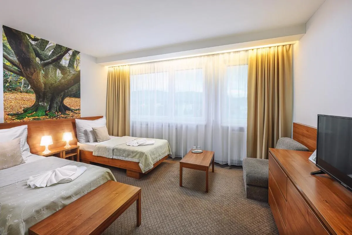 Image 2 of Hotel Janosik