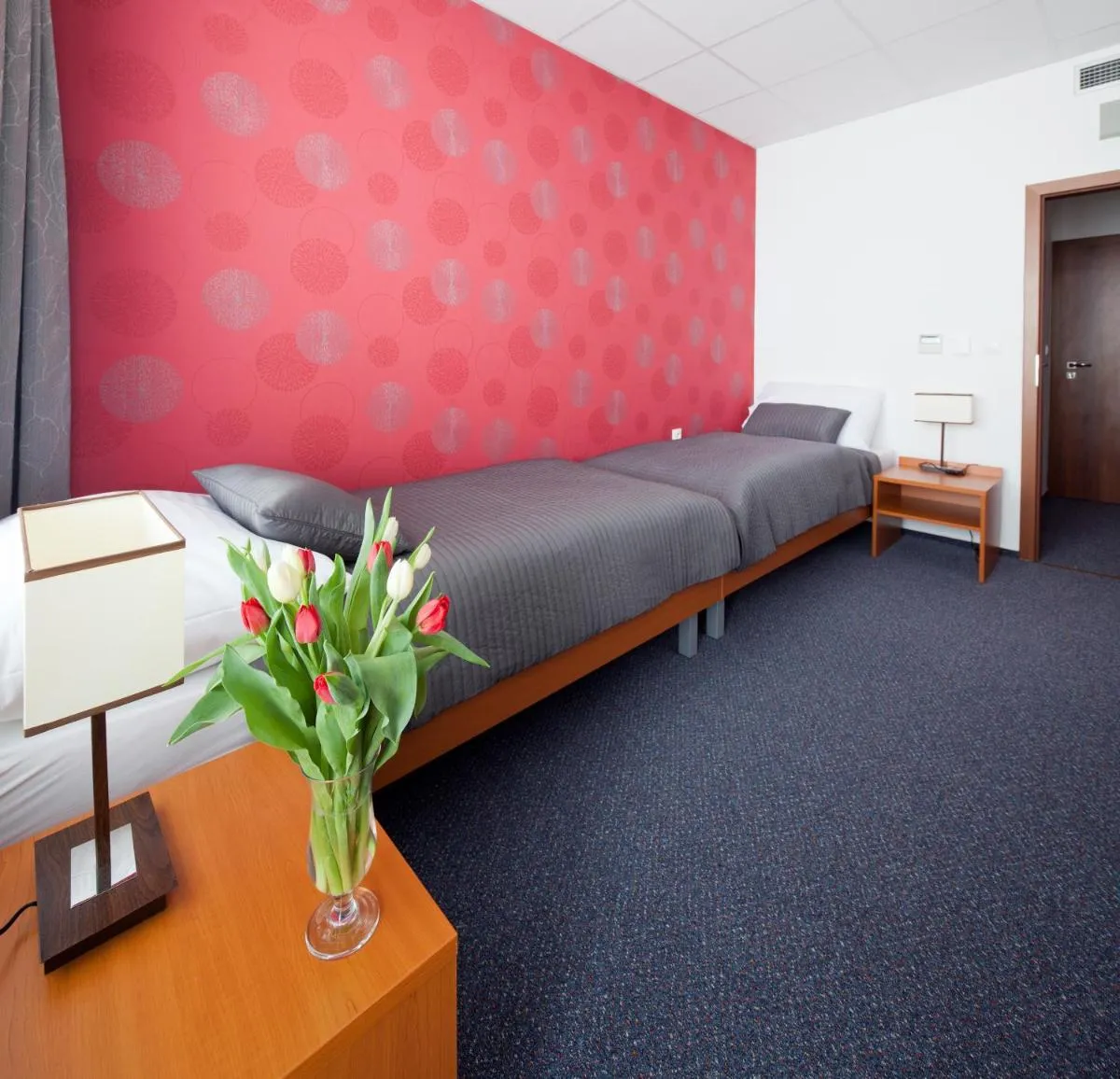 Image 7 of Hotel Limba CTT