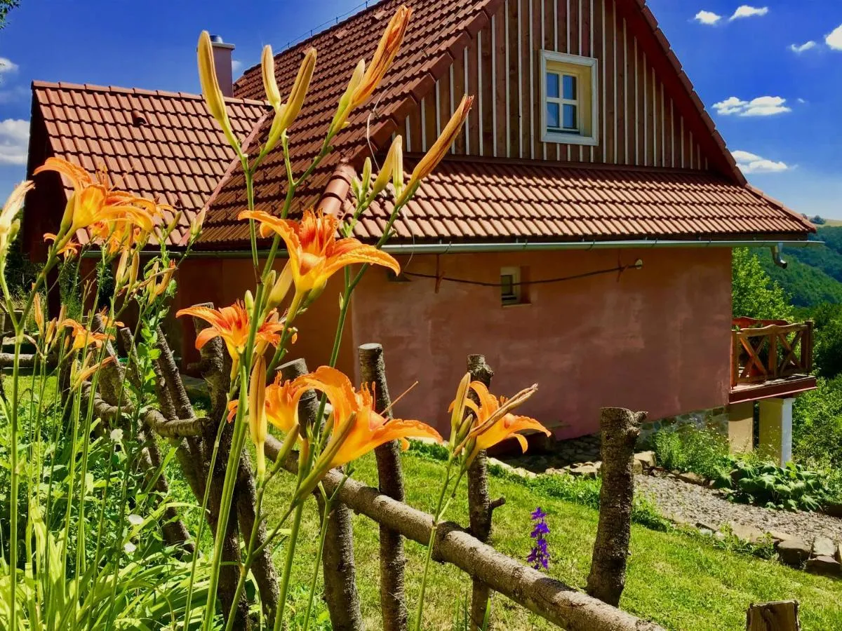 Image 2 of Kopanický dvor