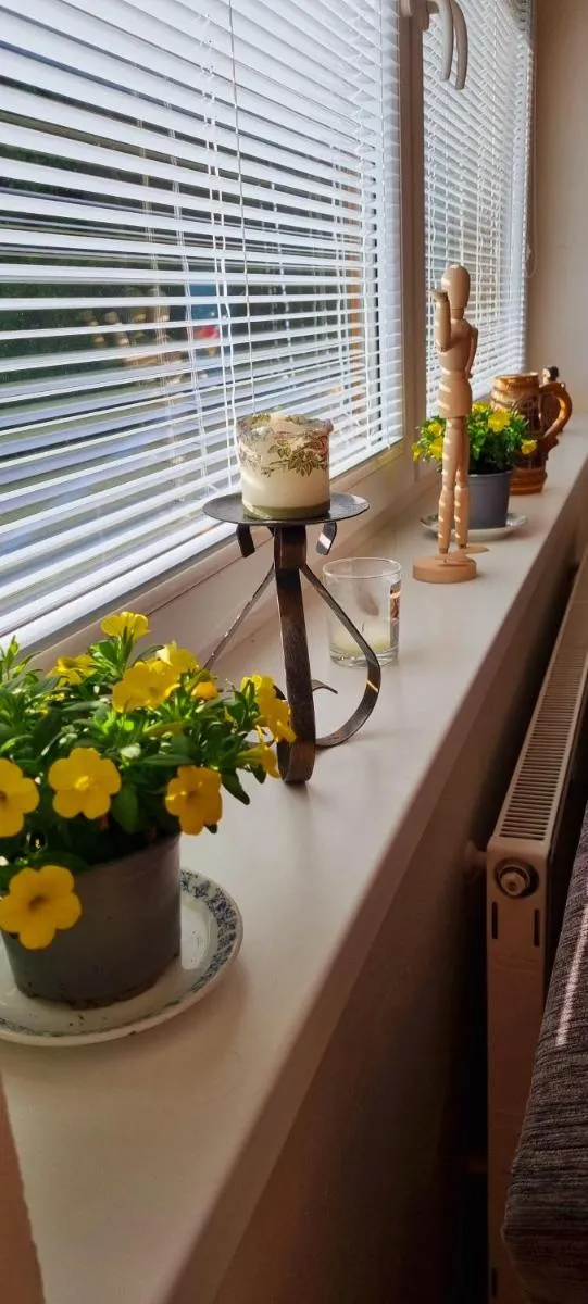 Image 7 of Mountain Village Apartment Pinewood ***