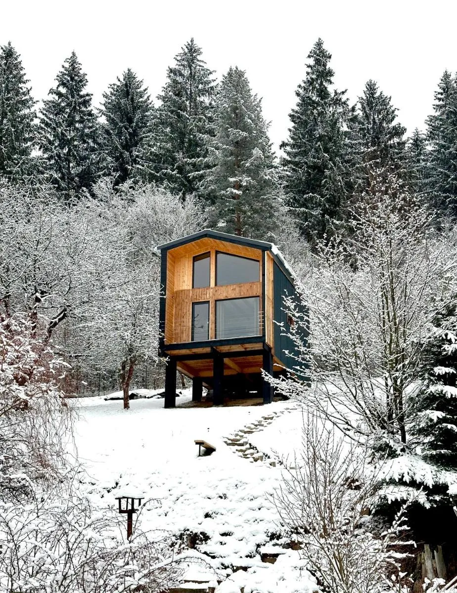 Image 4 of Panorama / TinyHouse