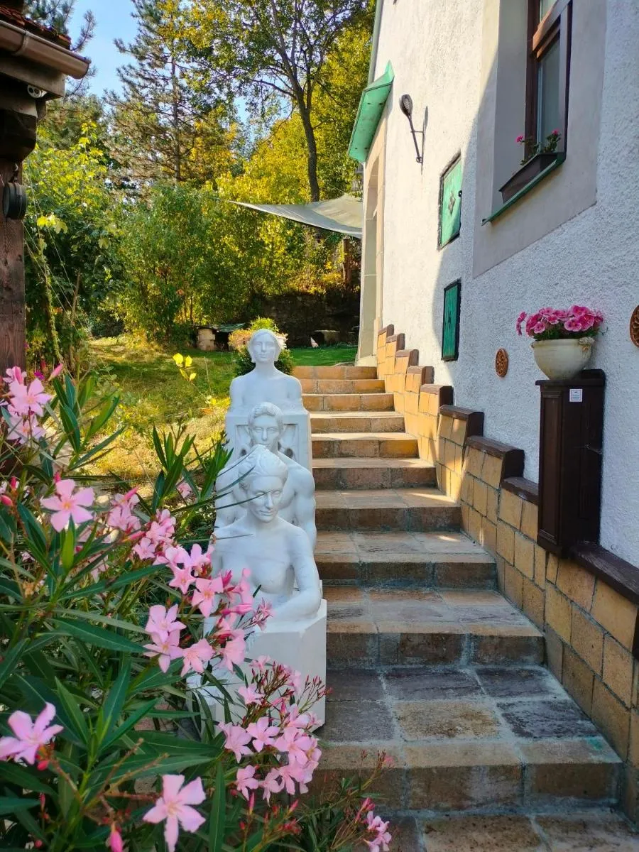 Image 6 of Paracelsus house