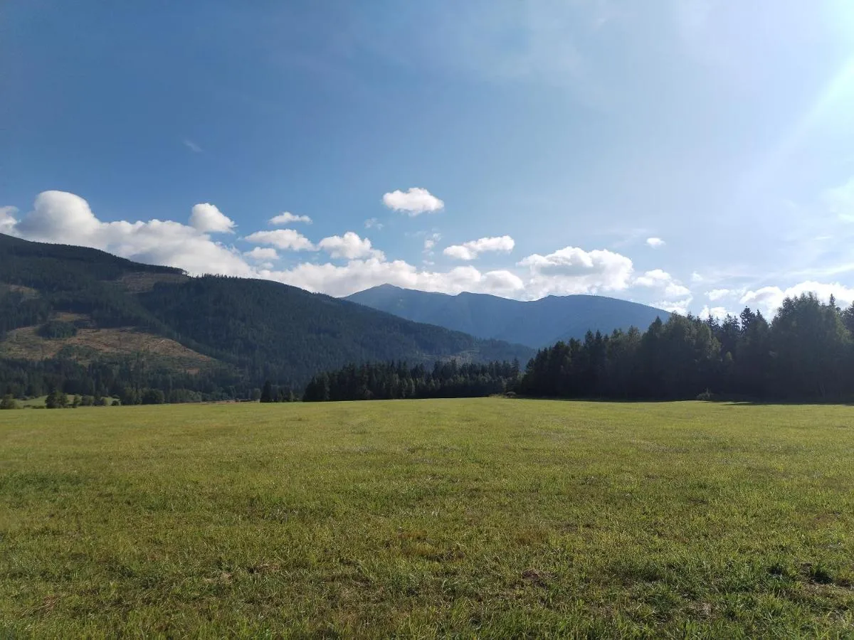 Image 2 of Penzion Real