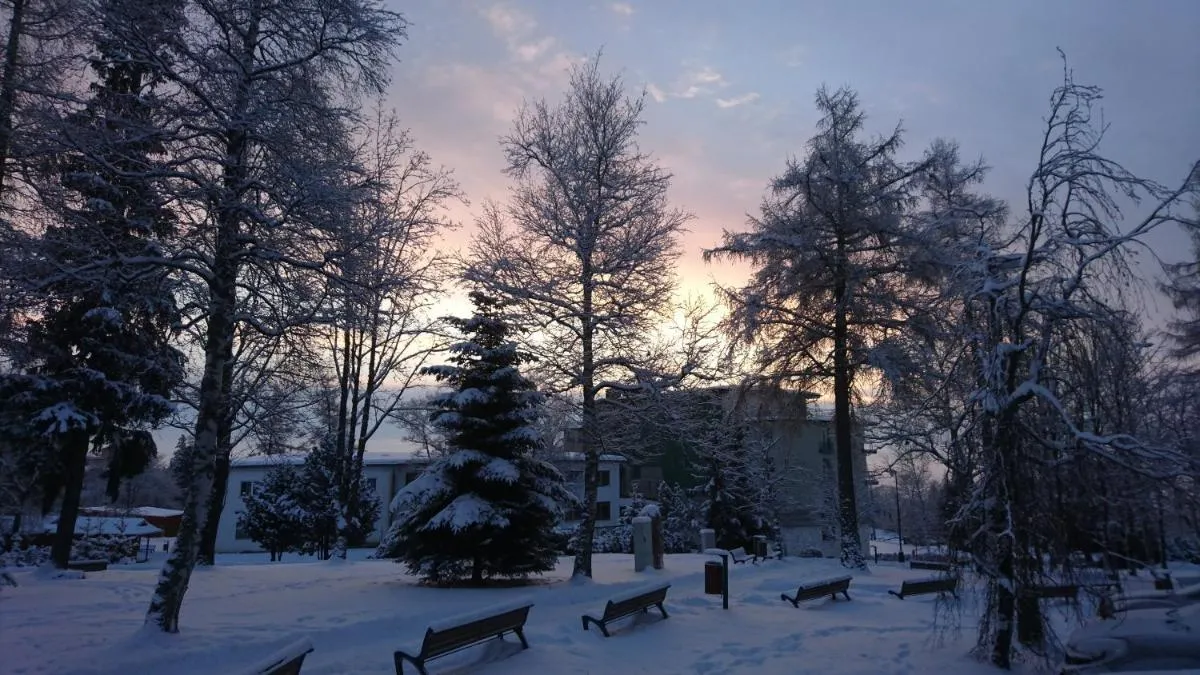 Image 6 of Primo Relax