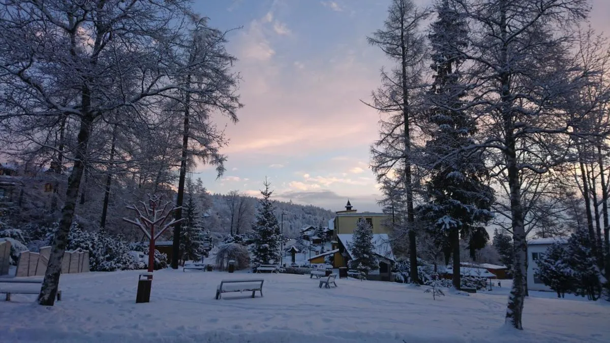 Image 7 of Primo Relax