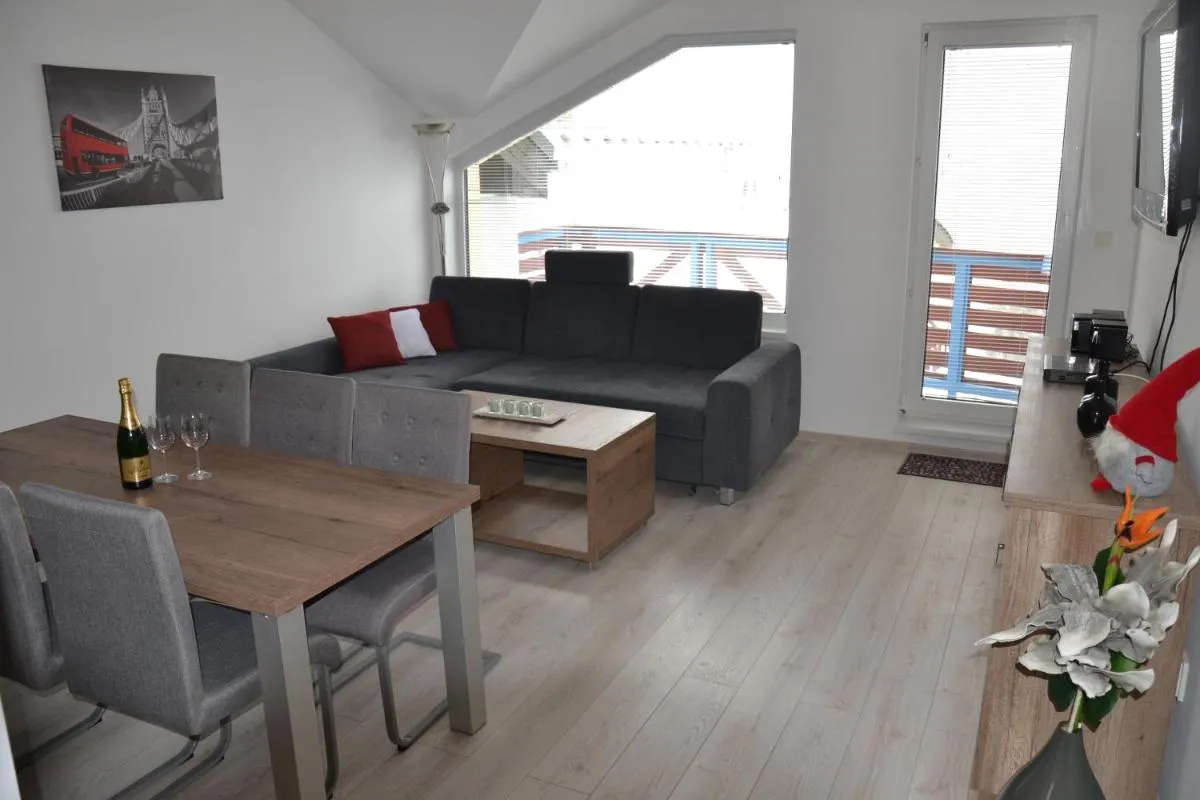 Image 4 of Šafrán – Dorothy 44,