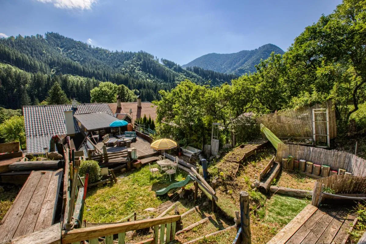 Image 2 of Tatra Magic