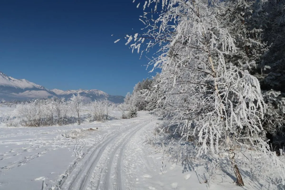 Image 3 of Tatry Golf Apartmán