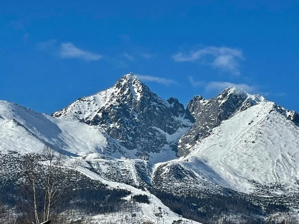 Image 7 of VILA DOMOVINA