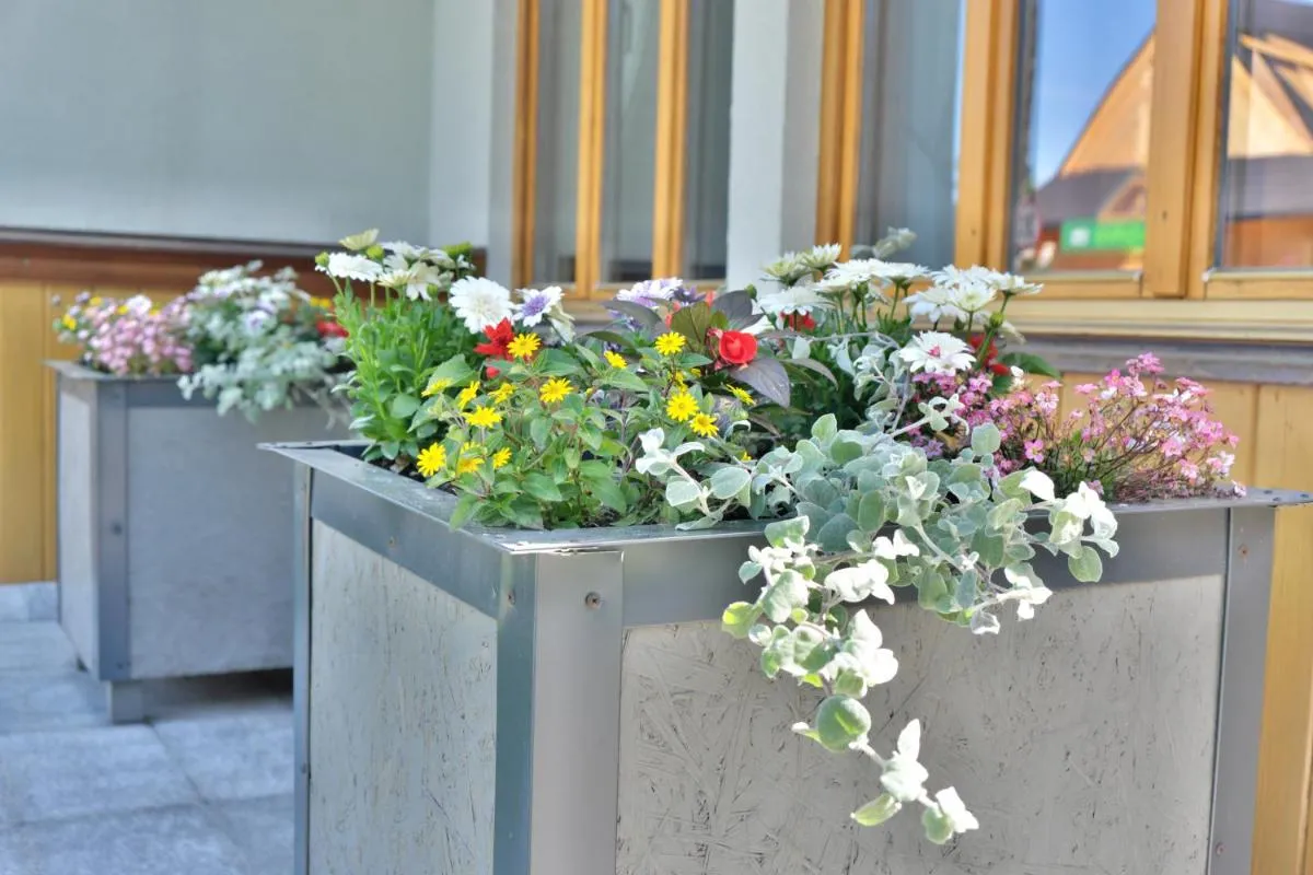 Image 6 of APARTAMENT – ZAKOPIAŃSKI