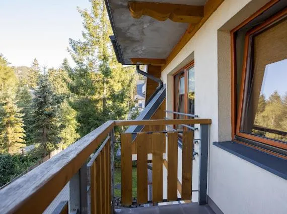 Image 3 of Apartament Egzotyczny Bory