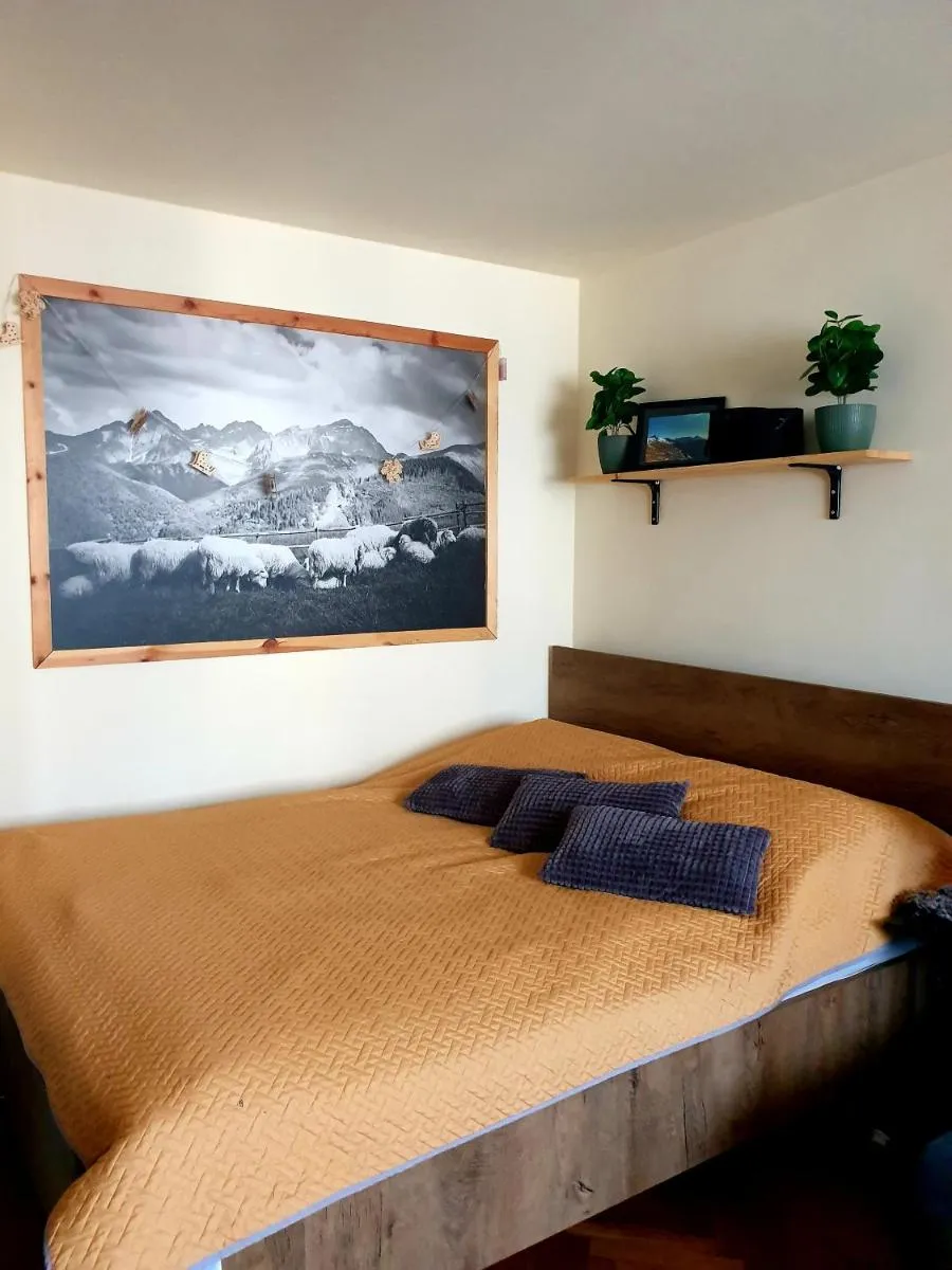 Image 5 of Apartament IZBA W CENTRUM