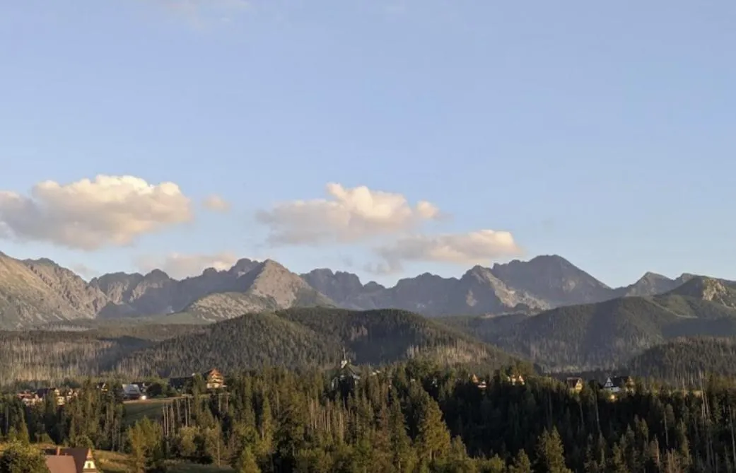 Image 3 of Apartament Zakopane Willa Hrube parter z tarasem i kominkiem