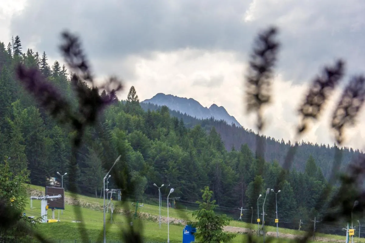 Image 6 of Apartamenty Nosalowe Tarasy Zakopane