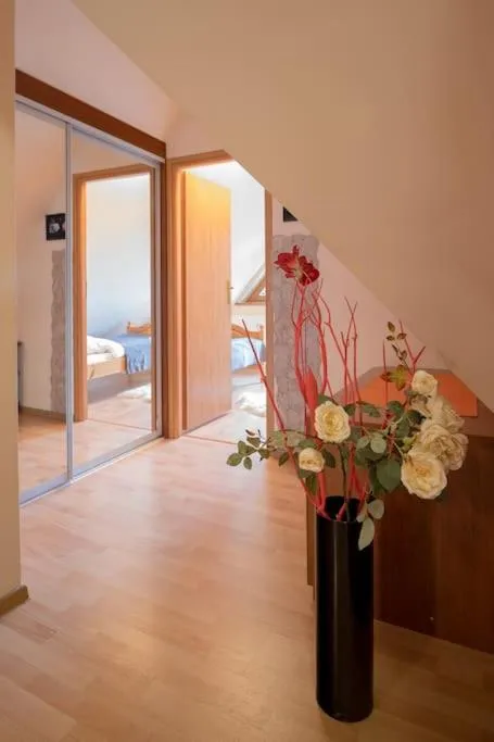Image 5 of Central Apartments – Great Location – Pod Skocznią – Bogowka14