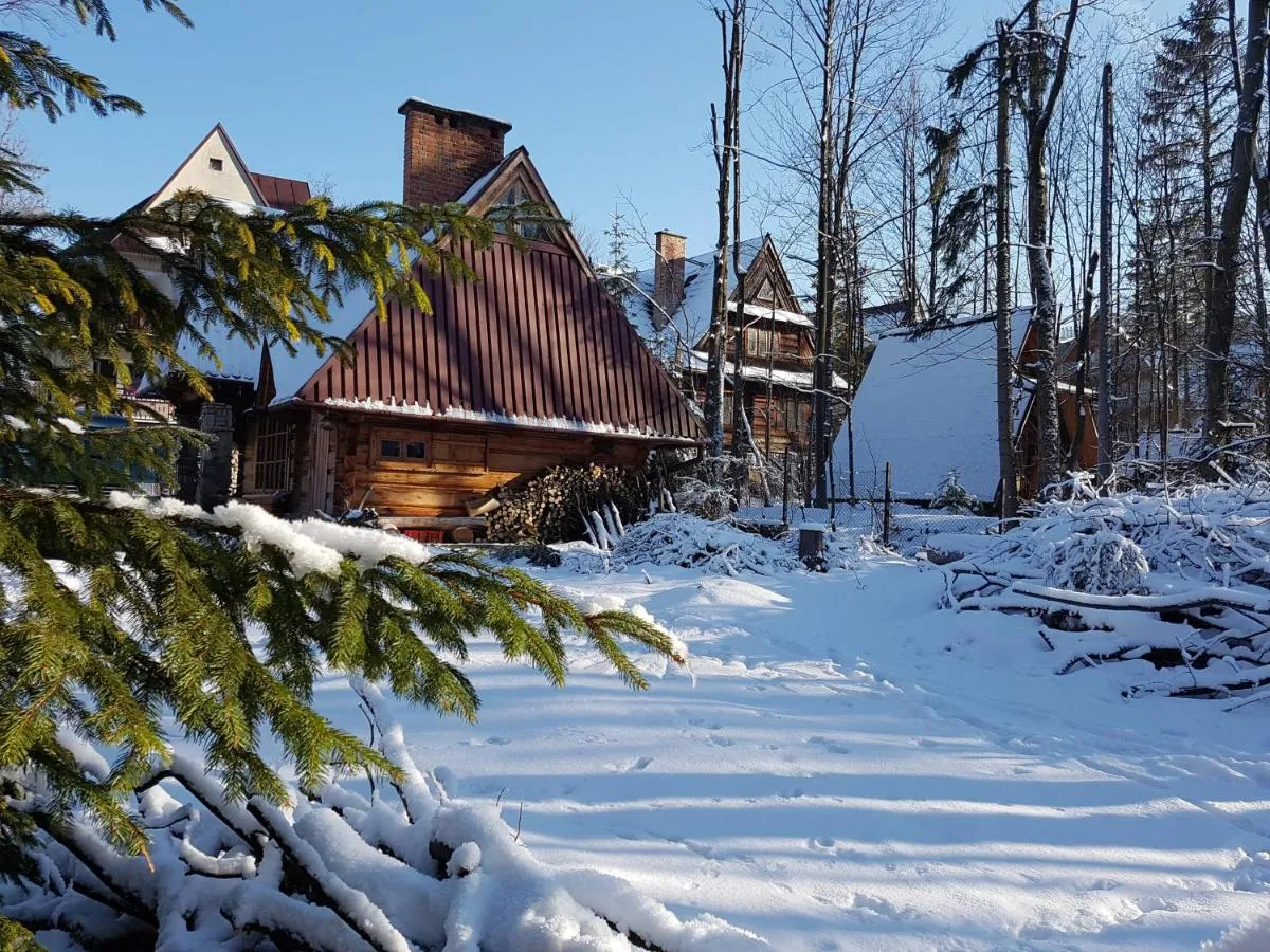 Image 4 of Domek Drewniany Tetmajera Centrum Zakopane