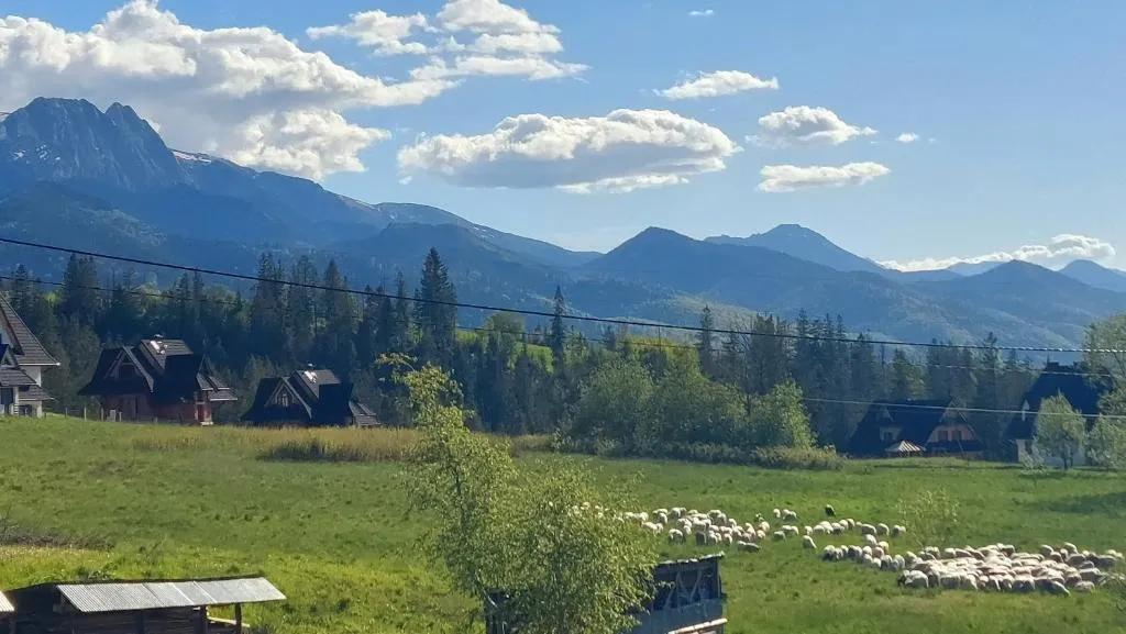 Image 1 of Hrube DOMKI Zakopane
