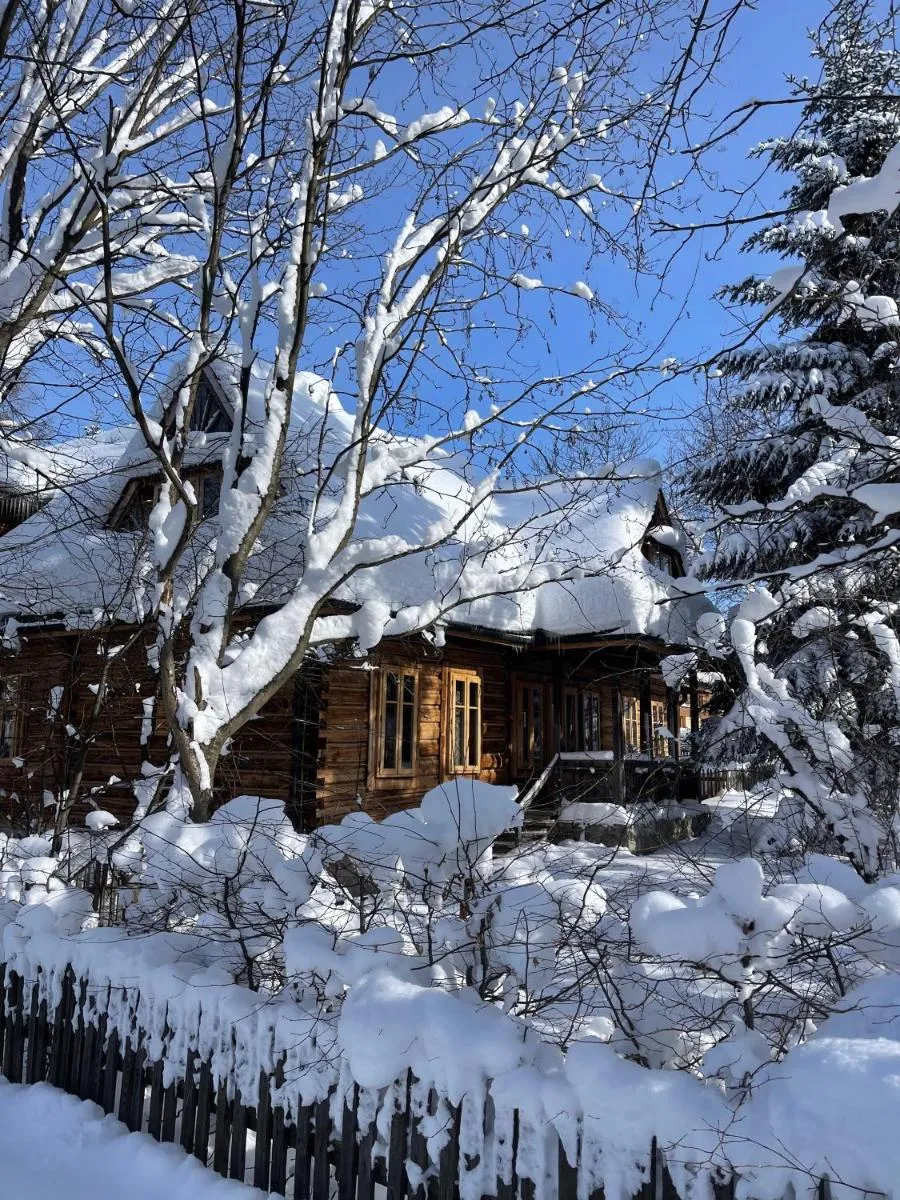 Image 4 of Leo’s Grandma’s House – 100m from Ski Jump