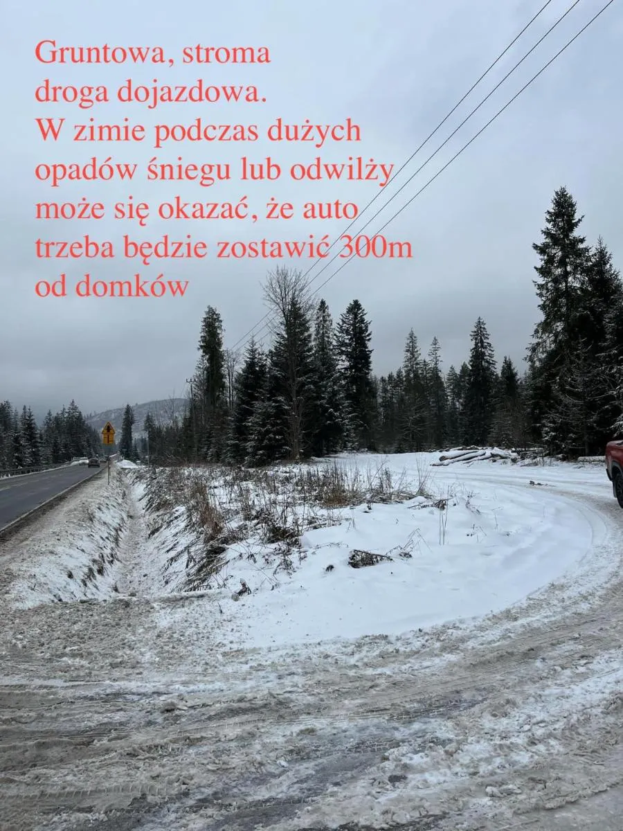 Image 5 of Niedźwiedź nad Chochołowską