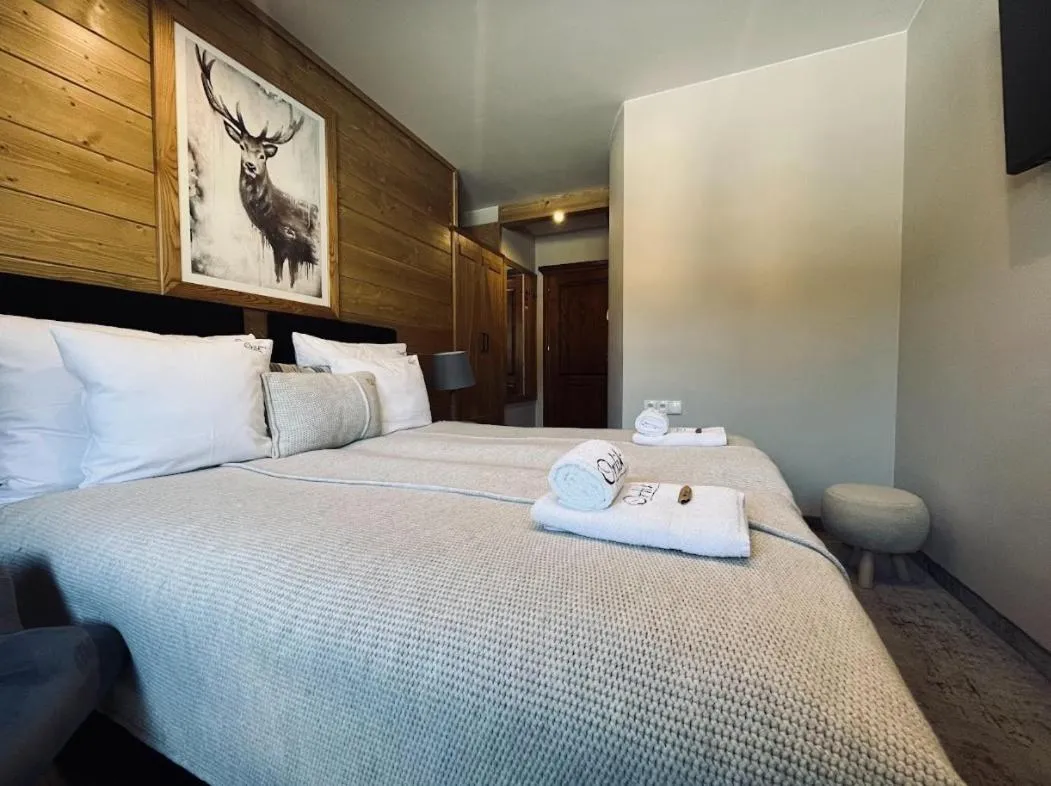 Image 5 of Pensjonat Orlik Mountain Resort&SPA