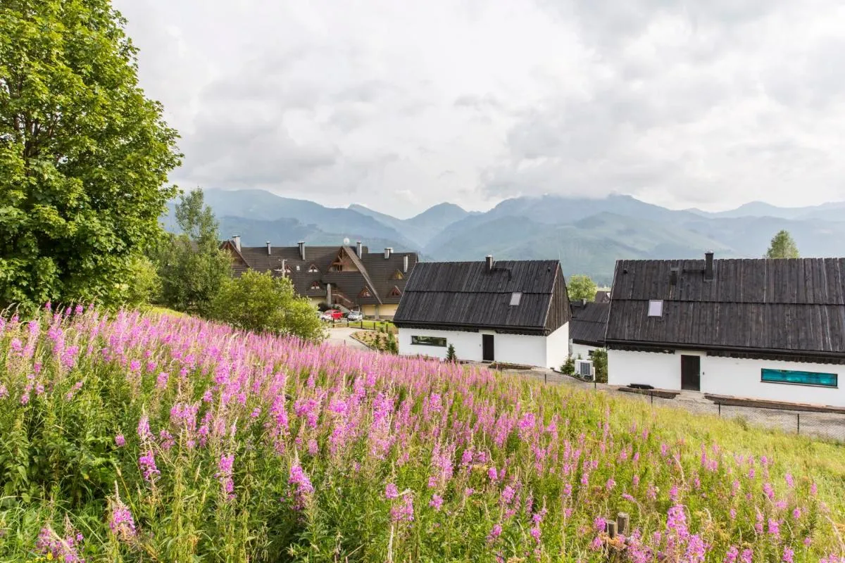 Image 4 of udanypobyt OMG Houses