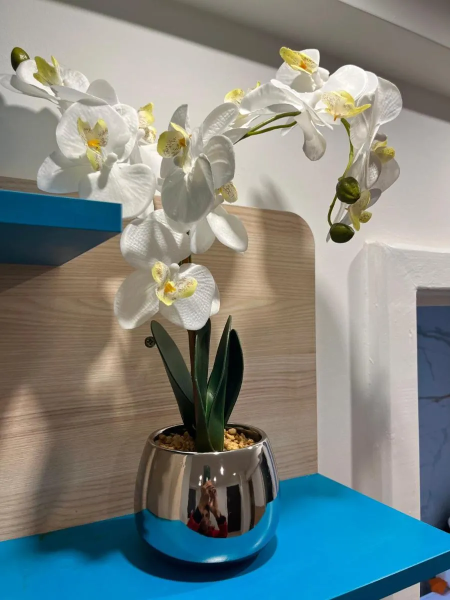 Image 4 of Apartament Centrum Okulickiego !